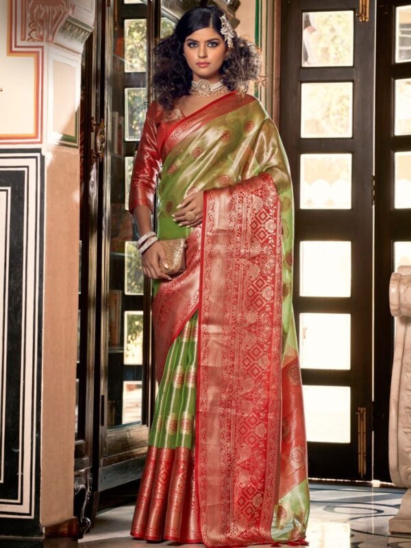 green organza saree 4