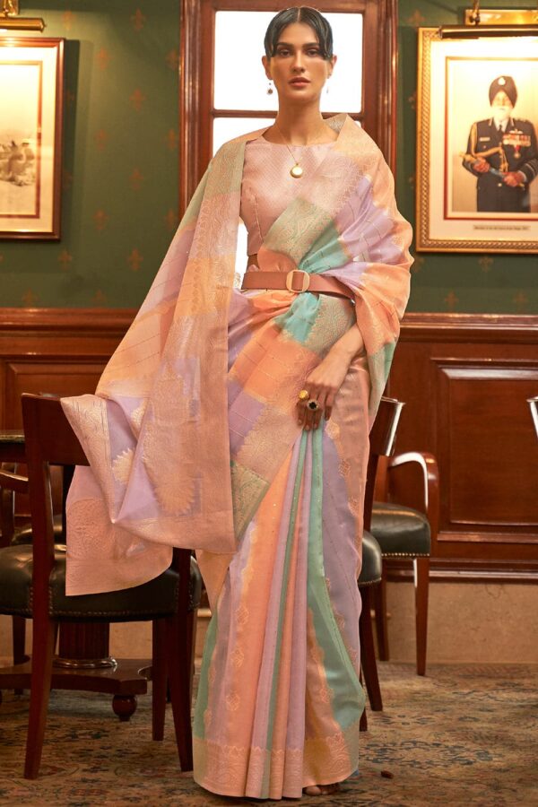 organza multicolor saree 2