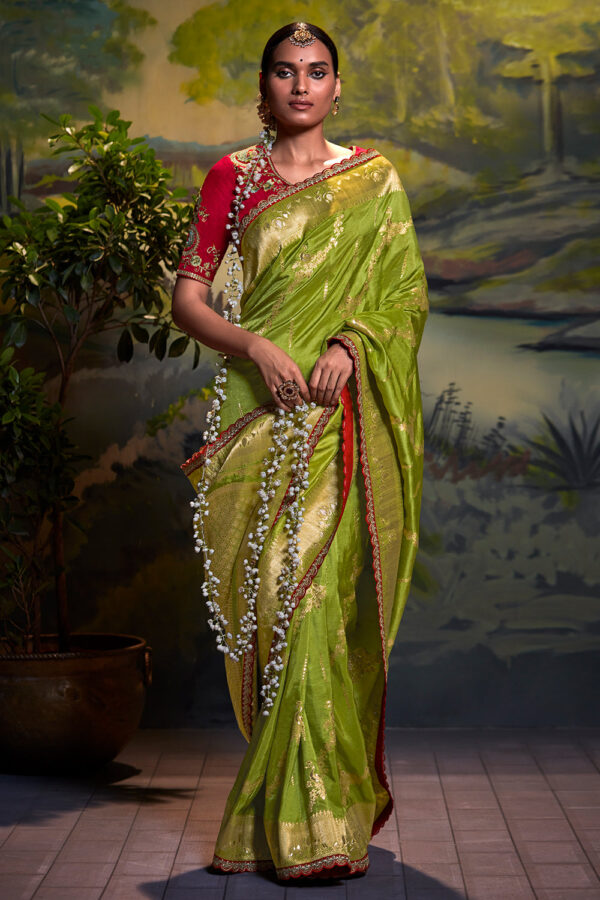 parrot green dola silk saree 2